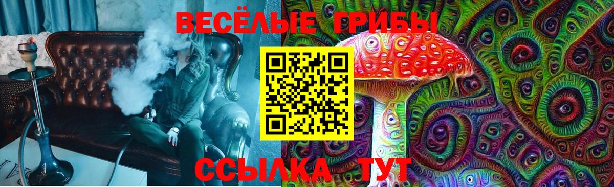 Галлюциногенные грибы Psilocybe  Вход с VPN  где найти   Галлюциногенные грибы Psilocybine cubensis  Дзержинский 
